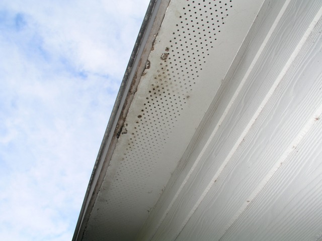 20080123_rear_facia.jpg