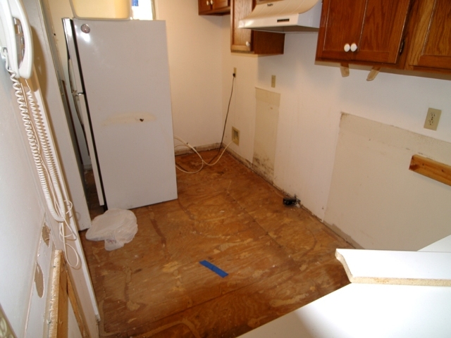 20080516_kitchen.jpg
