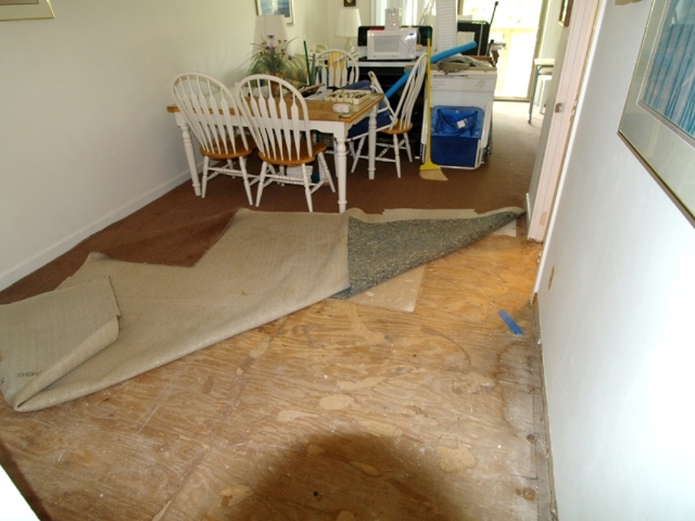 20080516_livingroom.jpg