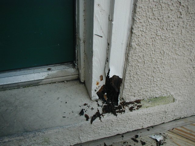 20080820_entry_door_trim.jpg