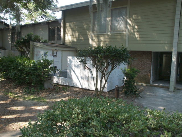 20090610lv2pic39.jpg