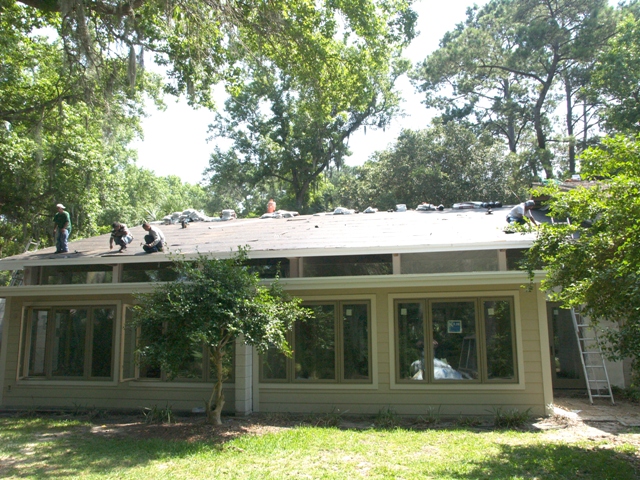 20090615lv2pic47.jpg