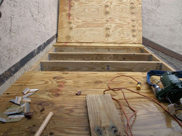 20091210_bluf2.jpg