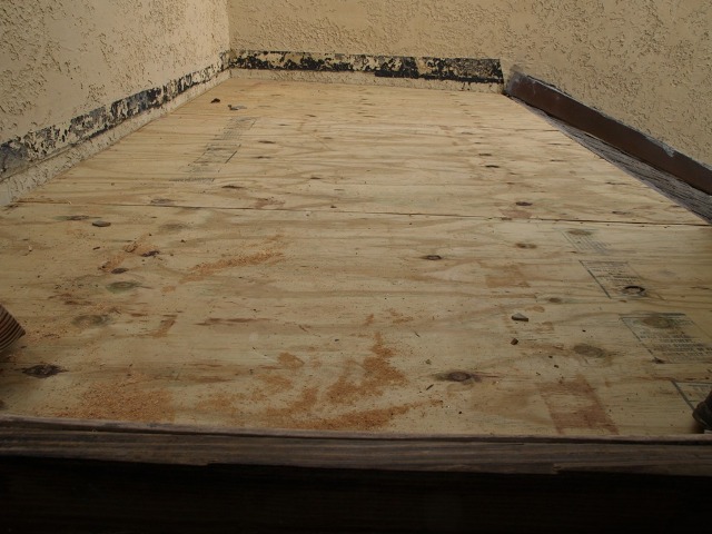 20091211_bluf3-2.jpg
