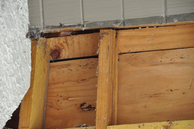 20091201bld5pic004.jpg