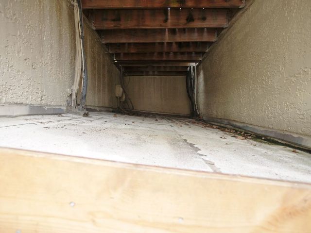 pc041658.jpg