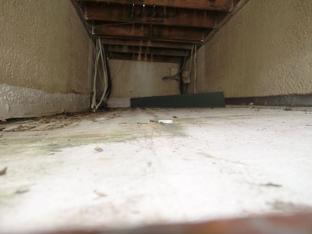 pc041663.jpg