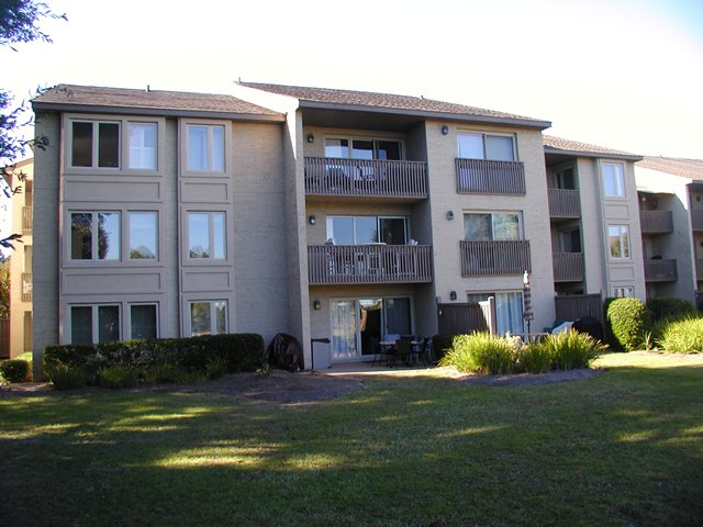 20101112bluff55bld8pic002.jpg