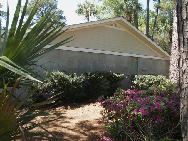 20090403LV1Pic61.JPG
