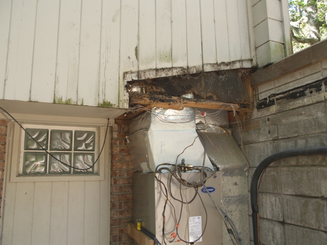 20090403LV2Pic04.JPG