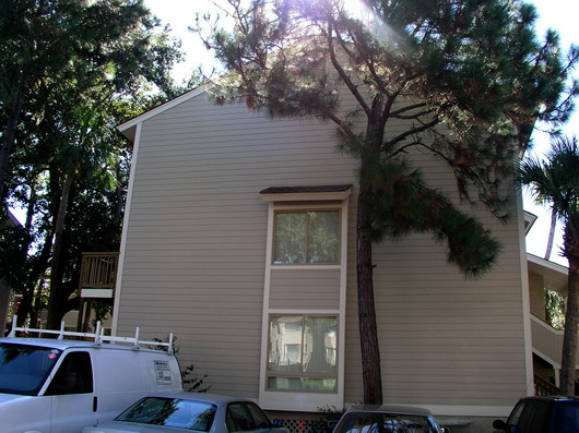 P1010025.jpg
