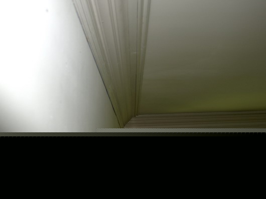 P1010145.jpg