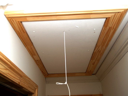 P1010147.jpg