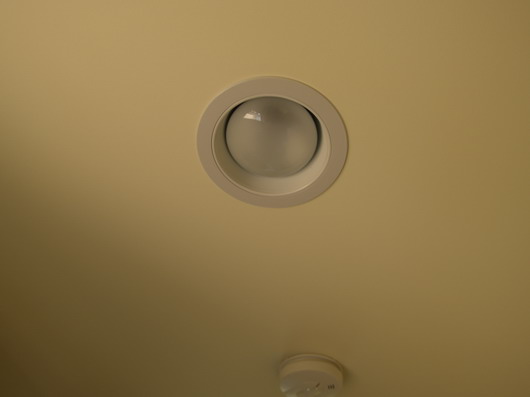 P1010253.jpg