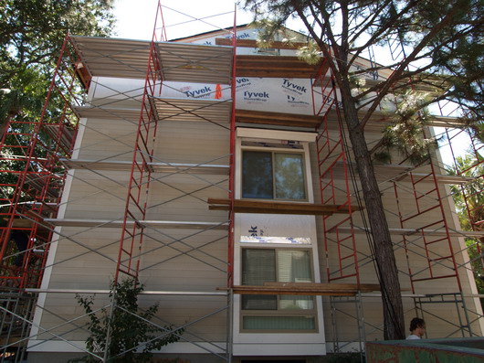 P1010367.jpg