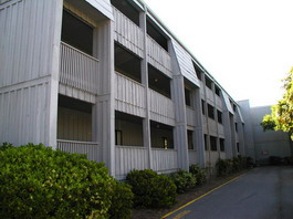 P1010985res.jpg