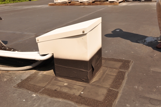 20090807Pic04.jpg