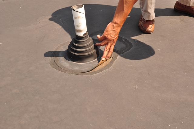 20090807Pic06.jpg