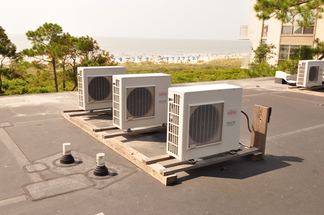20090807Pic07.jpg