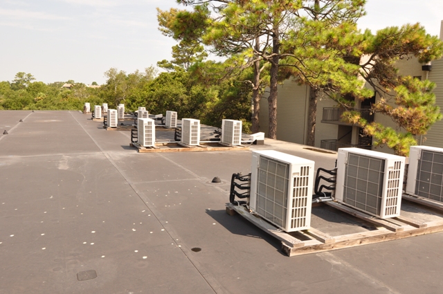 20090807Pic09.jpg