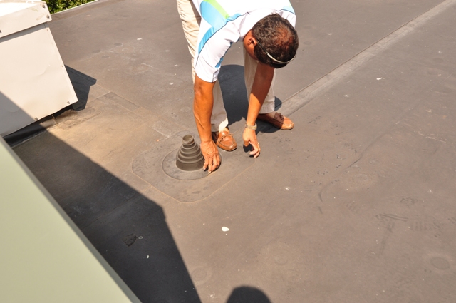 20090807Pic10.jpg