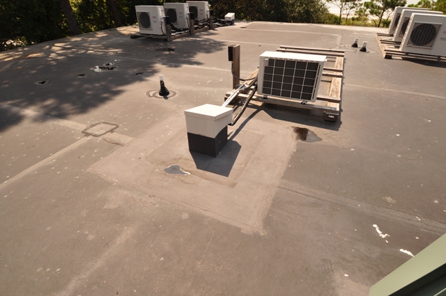 20090807Pic11.jpg
