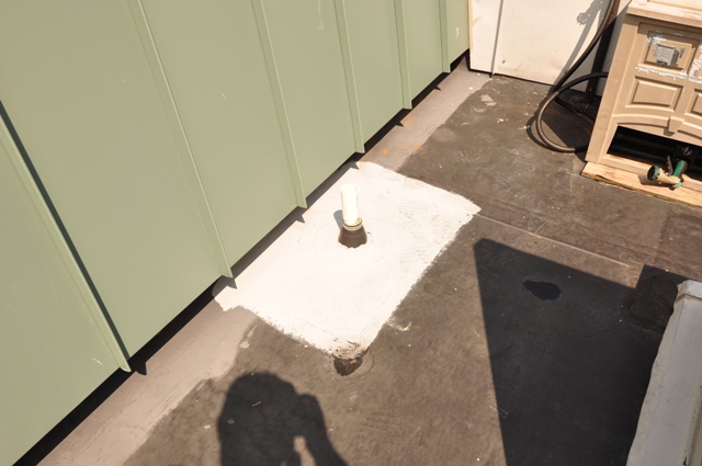 20090807Pic12.jpg