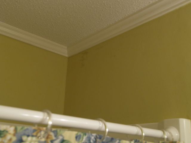 guest_bathroom.jpg
