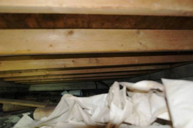 membrroofbldg8_2.jpg
