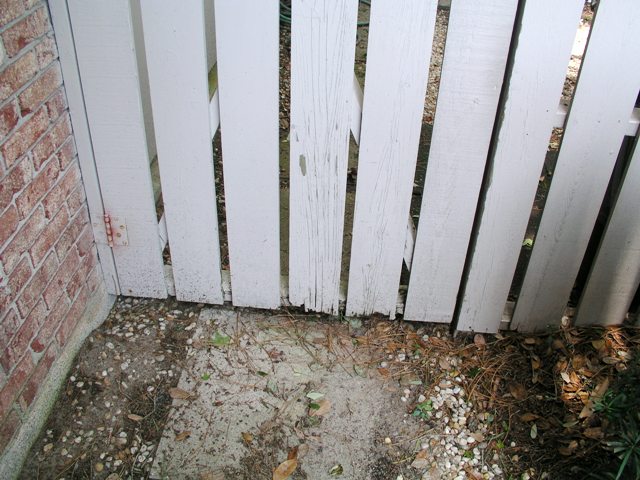p1010805.jpg