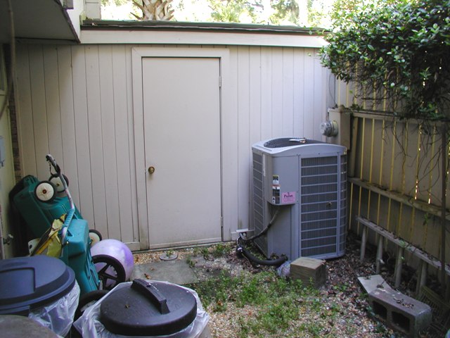 p1012851.jpg
