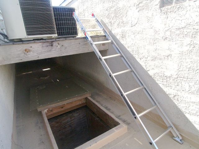 p4202479.jpg