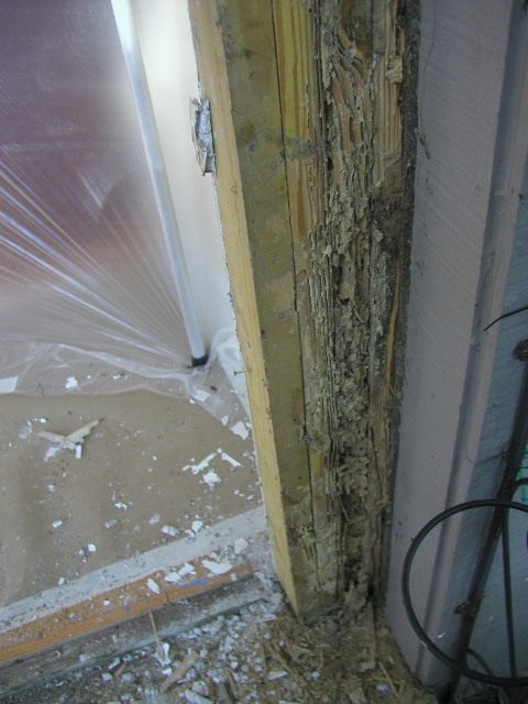 20100602plc452pic006.JPG