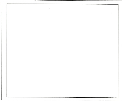 window_f.jpg
